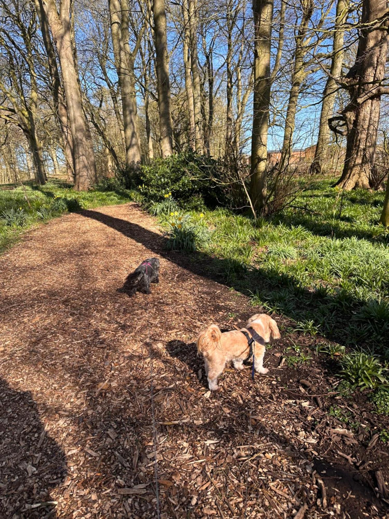 Max'S Woodland Lodge Bridlington Eksteriør billede